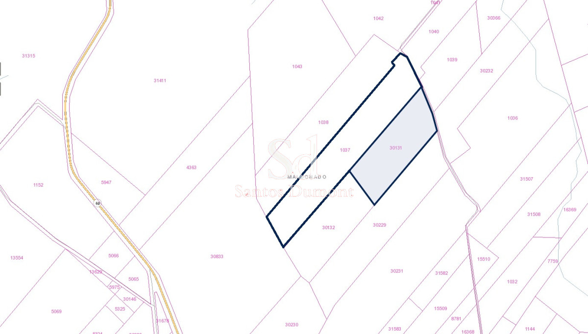 VENTA   CAMPO RUTA 60 - GoPunta - Portal Inmobiliario de Punta del Este - Maldonado
