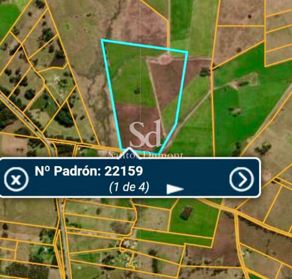 Venta Campo Ruta 104 Manantiales - GoPunta - Portal Inmobiliario de Punta del Este - Maldonado
