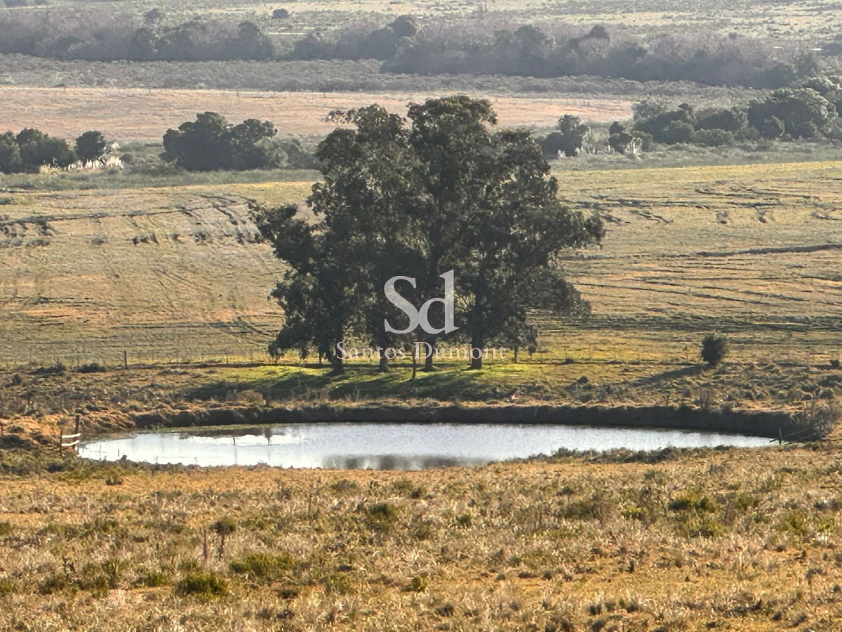 Campo Ref.25355 - OPORTUNIDAD - AMPLIA FINANCIACION 90 HAS