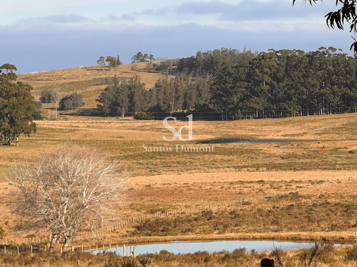 Campo Ref.25355 - OPORTUNIDAD - AMPLIA FINANCIACION 90 HAS