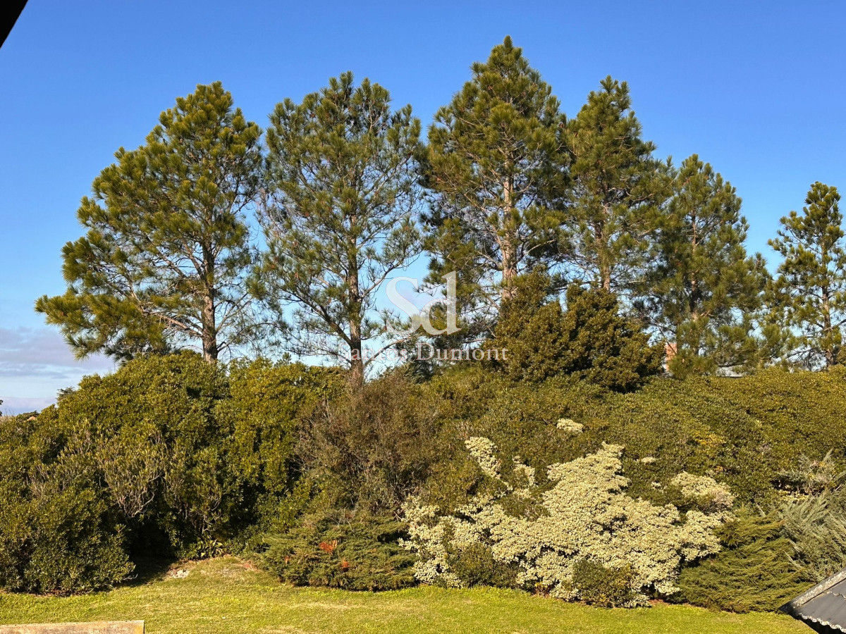 Campo Ref.25355 - OPORTUNIDAD - AMPLIA FINANCIACION 90 HAS