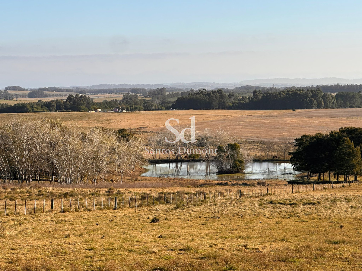 Campo Ref.25355 - OPORTUNIDAD - AMPLIA FINANCIACION 90 HAS