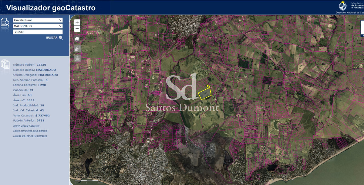 Campo Ref.25784 - EXCELENTE CAMPO EN VENTA