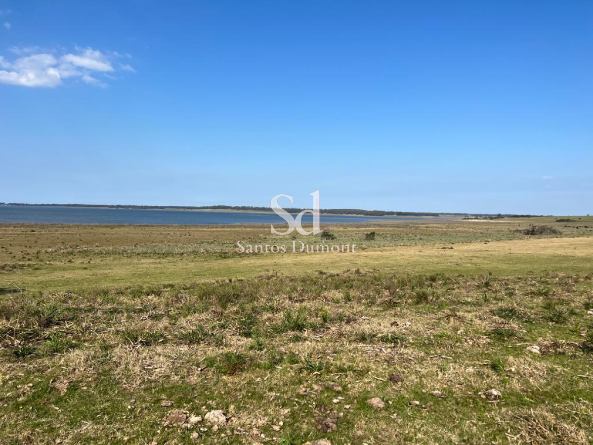 Campo Ref.24302 - VENTA - JOSE IGNACIO