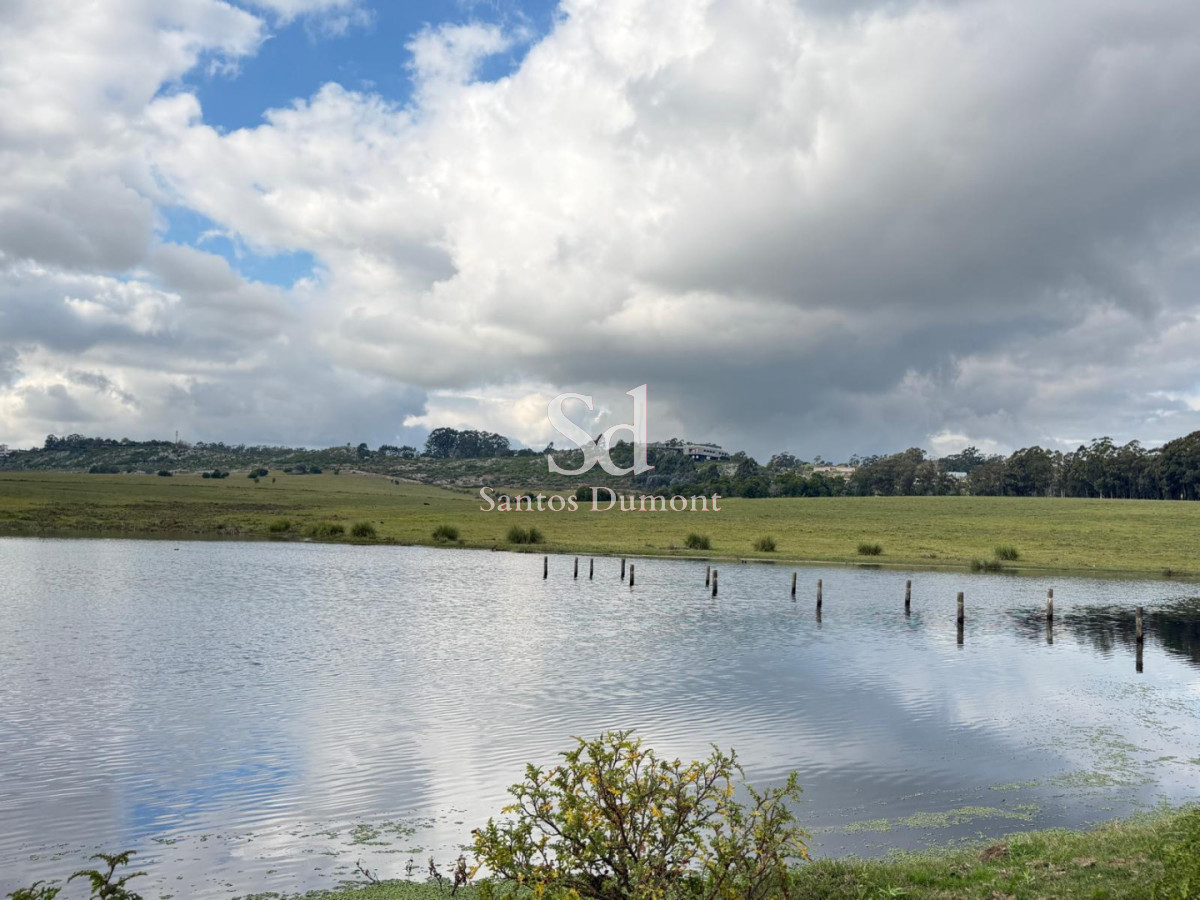 Campo Ref.25784 - EXCELENTE CAMPO EN VENTA