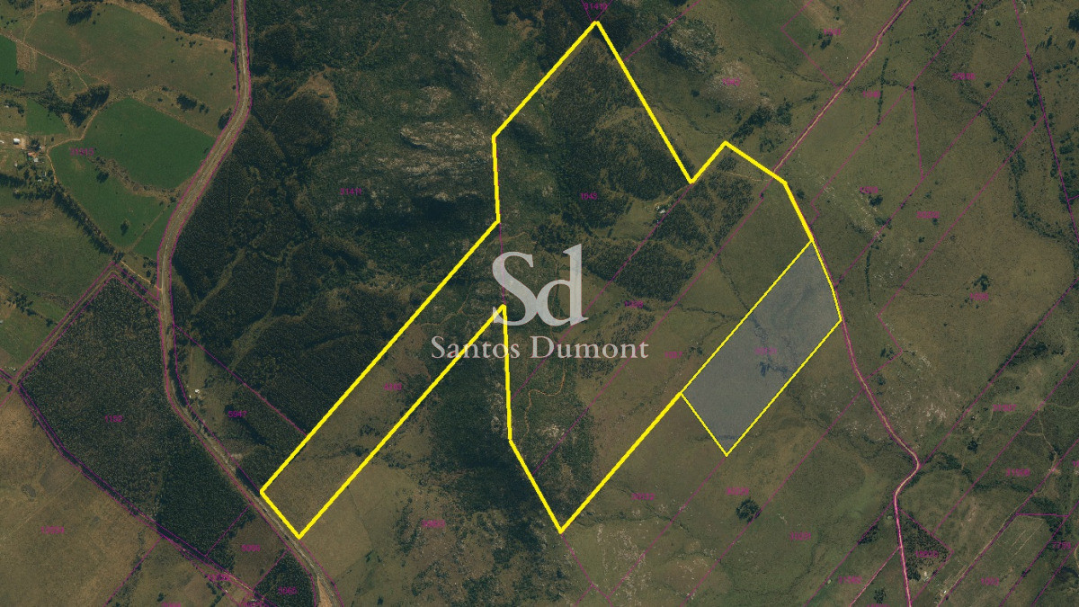 Campo Ref.25439 - VENTA - CAMPO RUTA 60