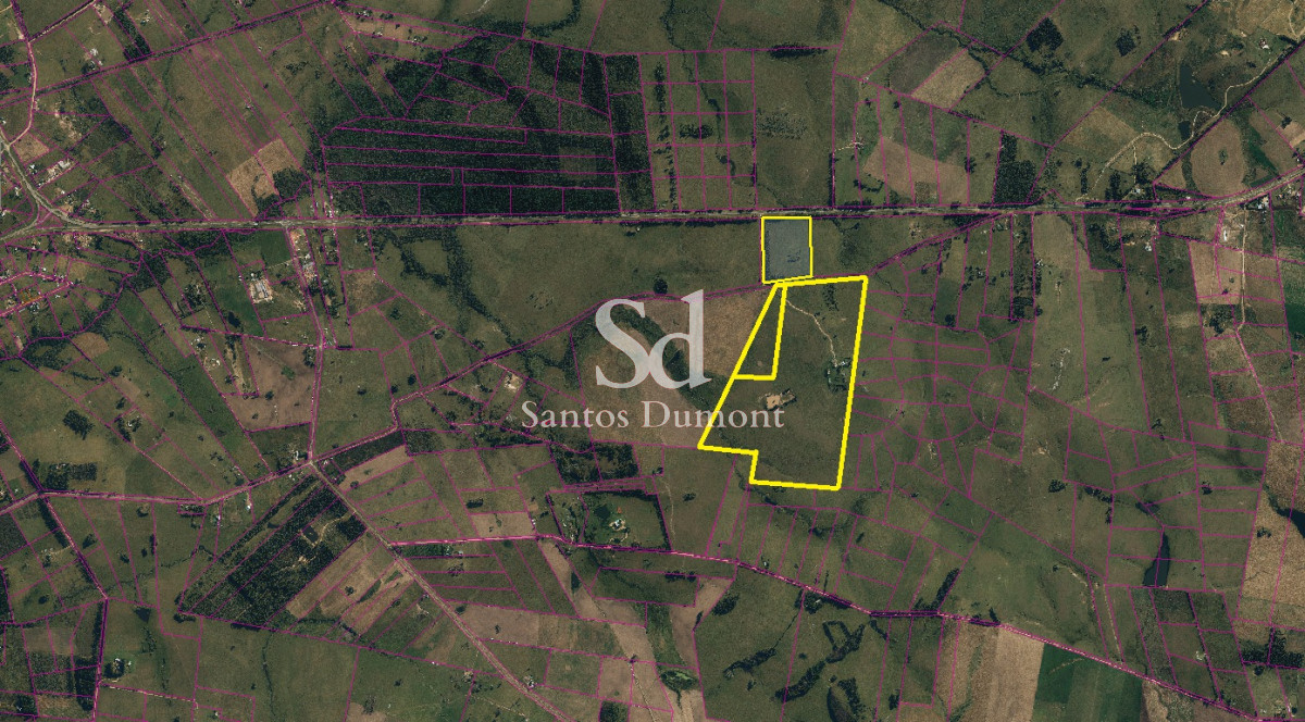 Campo Ref.25355 - OPORTUNIDAD - AMPLIA FINANCIACION 90 HAS