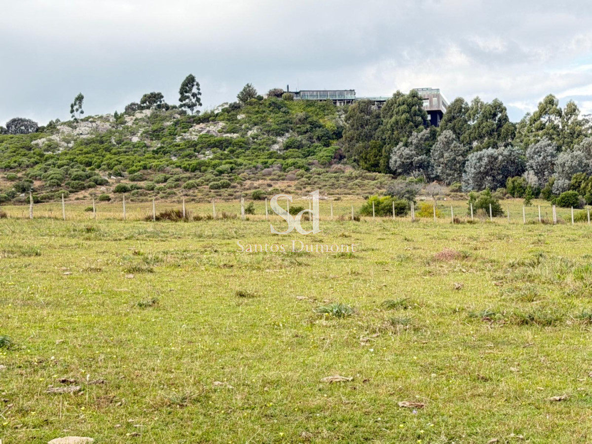 Campo Ref.25784 - EXCELENTE CAMPO EN VENTA
