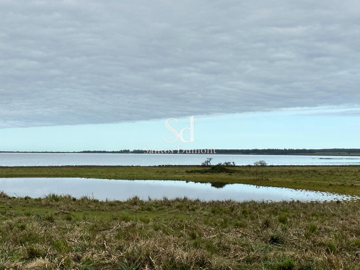 Campo Ref.24302 - VENTA - JOSE IGNACIO