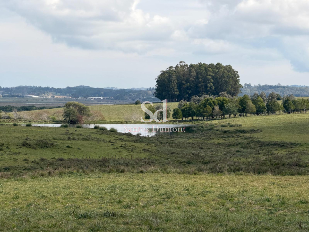 Campo Ref.25784 - EXCELENTE CAMPO EN VENTA