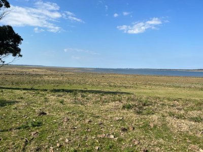 VENTA - JOSE IGNACIO