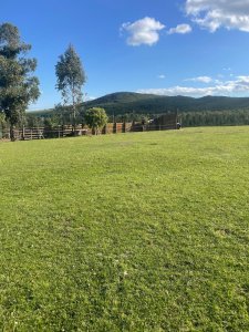 VENTA - CAMPO RUTA 60