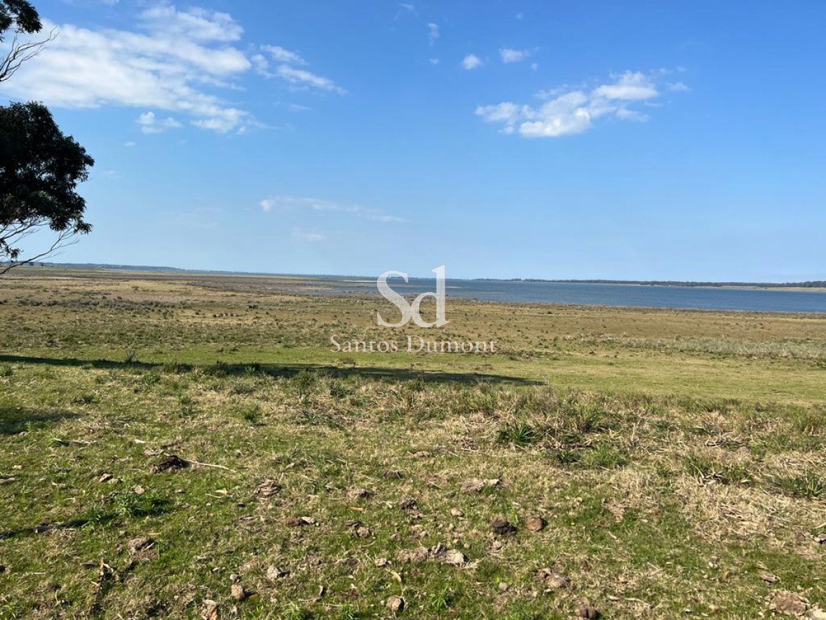 Extraordinaria propiedad de 30 hectáreas con 1.400 metros de costa sobre la Laguna de José Ignacio

En una de las geografías más reservadas, sofisticadas y valoradas de Uruguay, esta excepcional propiedad se presenta como una oportunidad de escala verdaderamente escasa dentro del mercado de alta gama.

Con 30 hectáreas de superficie y un impactante frente de 1.400 metros lineales sobre la Laguna de José Ignacio, esta fracción ofrece una relación única entre territorio, agua, privacidad y paisaje, en un entorno donde la naturaleza conserva intacta toda su expresión.
La propiedad reúne condiciones excepcionales para el desarrollo de una residencia de alto nivel, una chacra marítima de lujo, o un proyecto boutique en armonía con el entorno, preservando la esencia natural y sofisticada que define a José Ignacio.

Una oportunidad irrepetible para disfrutar de la esencia de José Ignacio, con espacio, exclusividad y una conexión única con el agua y la naturaleza.

Padrón 40787 - 15 hectáreas 
Padrón 40788 - 10 hectáreas
Padrón 40789 - 5 hectáreas

Se venden Juntas.
Se llega a través de una servidumbre de paso. 

Información al: +598 94 640 045