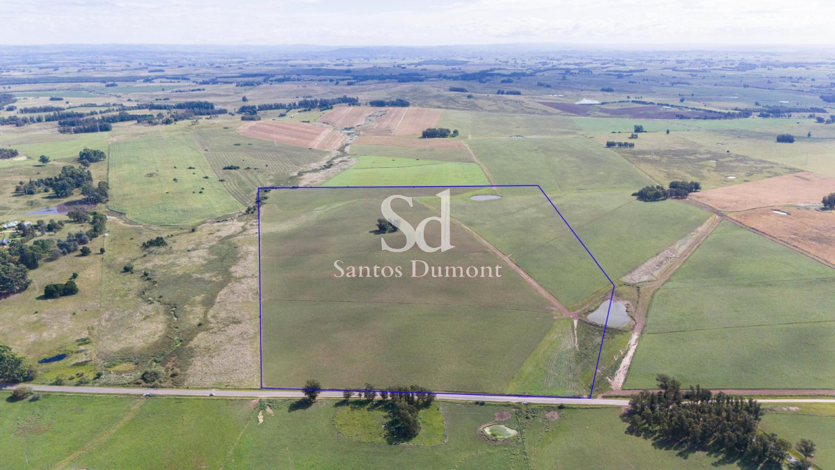  **Oportunidad Única en Manantiales: Campo Ideal para Fraccionamiento**

Descubra una tierra excepcional a escasos  km de San Carlos y Manantiales. Este campo, se presenta como una oportunidad inigualable para aquellos que buscan invertir en un proyecto de fraccionamiento en una de las zonas más prometedoras de la región (Ruta 104).

Con una ubicación estratégica, este terreno ofrece un acceso inmejorable a las principales rutas y servicios, permitiendo un desarrollo que respete la belleza natural del entorno. Imagine crear un espacio que combine la tranquilidad del campo con la cercanía a la vibrante vida de Manantiales.

No deje pasar esta oportunidad de ser parte del crecimiento de una de las áreas más cotizadas de Maldonado. Consulte con nuestros asesores para obtener más información y dar el primer paso hacia su proyecto soñado. ¡Estamos aquí para ayudarle!