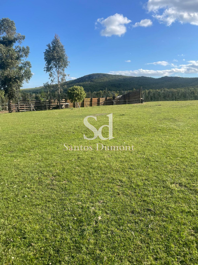 Hermoso Campo de 173 hectáreas

Descubre un exclusivo campo ganadero a solo 4 km de Pan de Azúcar, donde la tranquilidad y la naturaleza se entrelazan en un entorno privilegiado. Este terreno ofrece una oportunidad única para aquellos que buscan un espacio para desarrollar su proyecto agrícola o ganadero, o simplemente un lugar para desconectar y disfrutar de la belleza del paisaje uruguayo.

Casa principal con 2 dormitorios, estar, cocina y baño.
Casa de visitas con dormitorio, estar y baño.

Casa de caseros.

Con acceso a rutas principales y servicios cercanos, esta propiedad combina la serenidad del campo con la comodidad de la cercanía a la ciudad. 
Su topografía y recursos naturales son ideales para la cría de ganado y el cultivo, brindando un potencial significativo para inversionistas y emprendedores.

No dejes pasar esta oportunidad de invertir en un estilo de vida auténtico y sostenible. Consulta con nuestros asesores para más información y descubre cómo este campo puede convertirse en tu próximo gran proyecto.