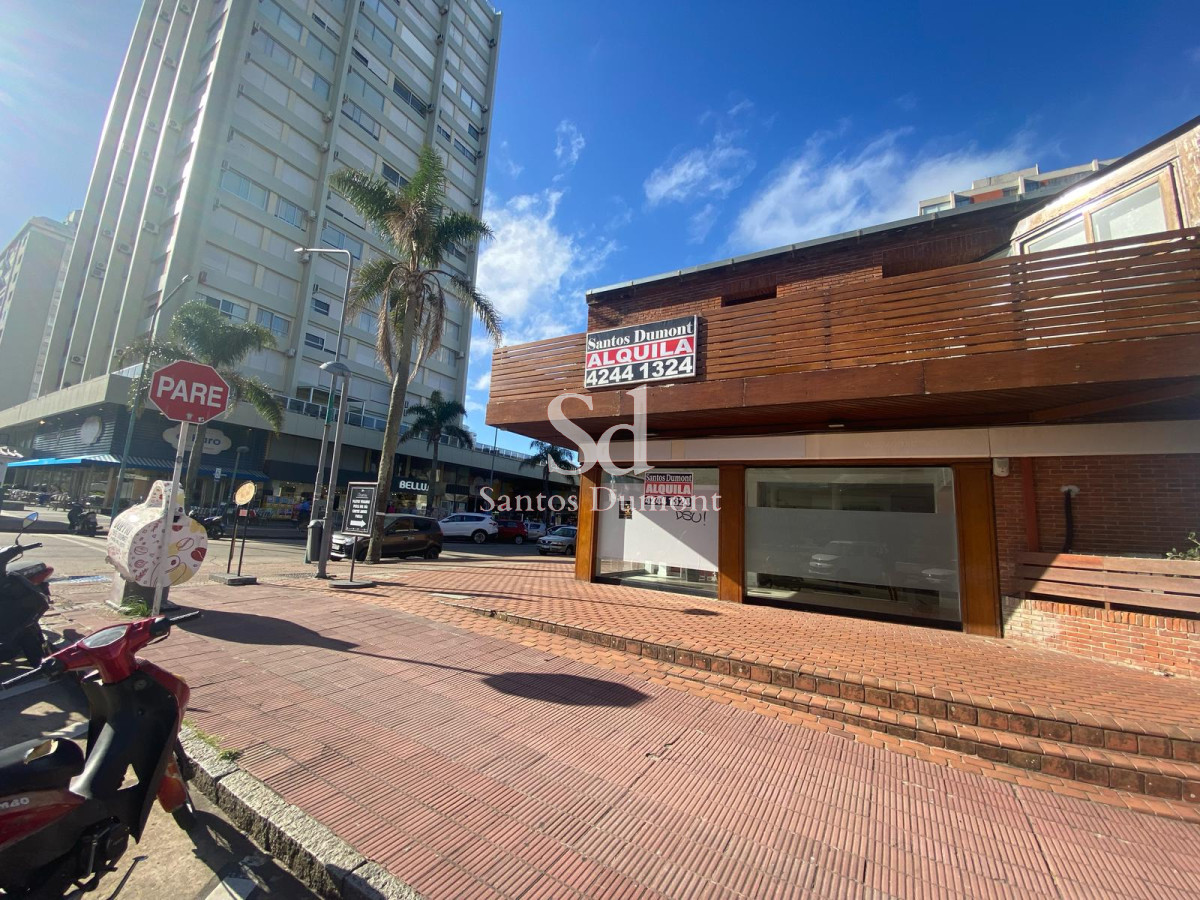 Local Comercial ID.23771 - Local en Punta del Este, Península