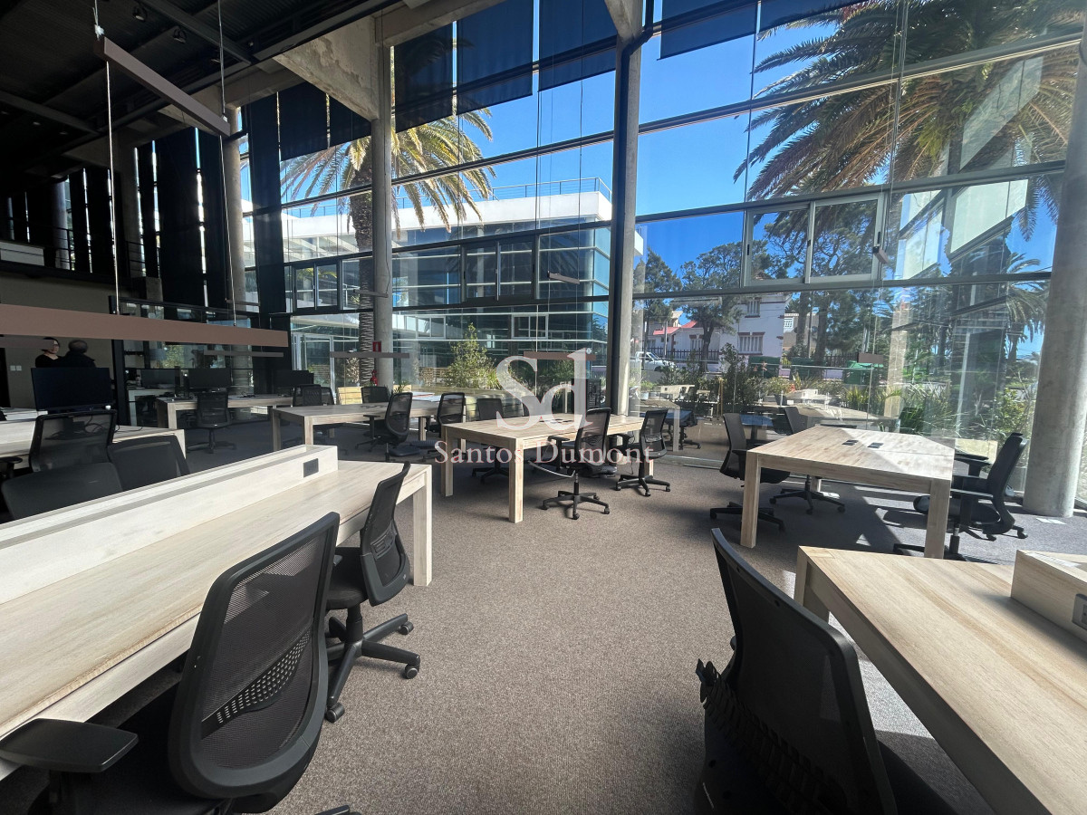 Local Comercial ID.25419 - AMPLIO LOCAL EN ZONA PUERTO, PENÍNSULA