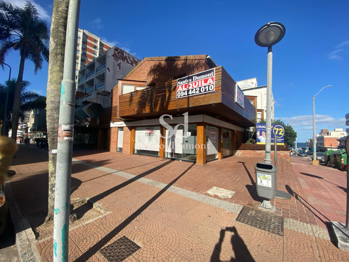 Local Comercial ID.23771 - Local en Punta del Este, Península