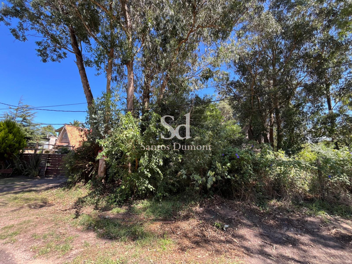 Terreno ID.25263 - VENTA - LOTE EN EL TESORO
