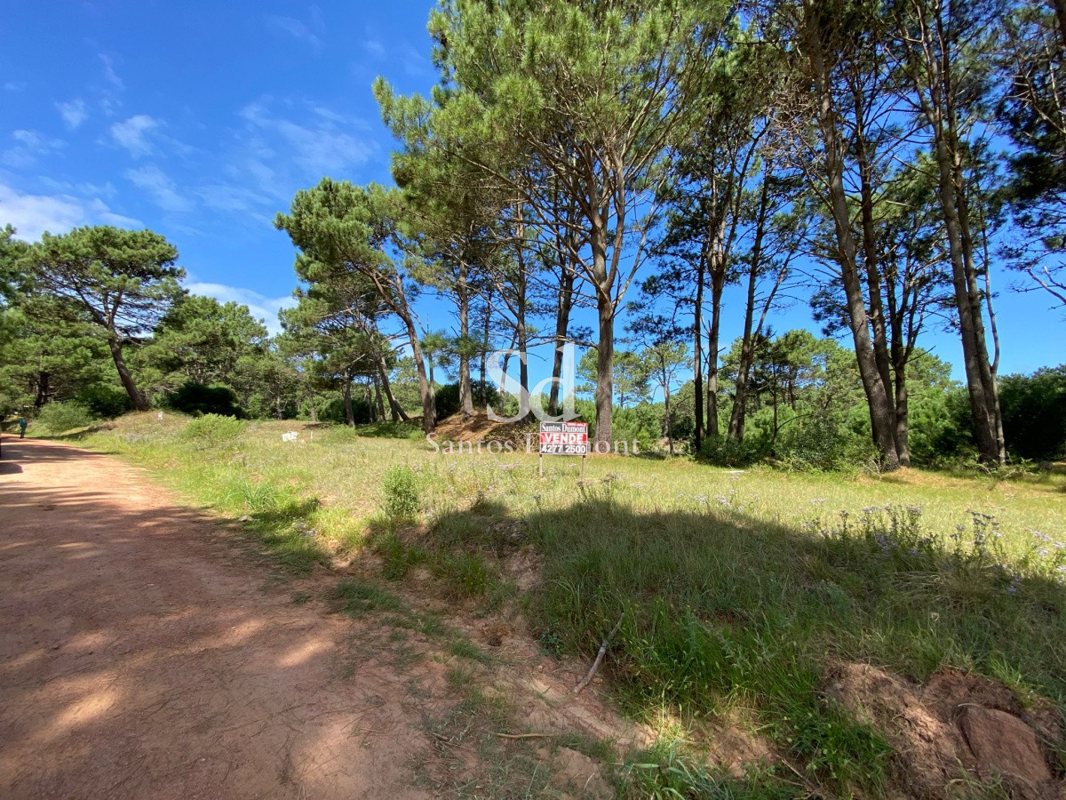 Terreno ID.23682 - EXCELENTE LOTE - BARRA VERDE