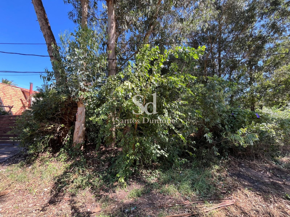 Terreno ID.25263 - VENTA - LOTE EN EL TESORO