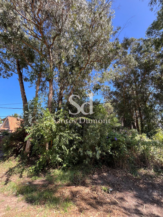 Terreno ID.25263 - VENTA - LOTE EN EL TESORO