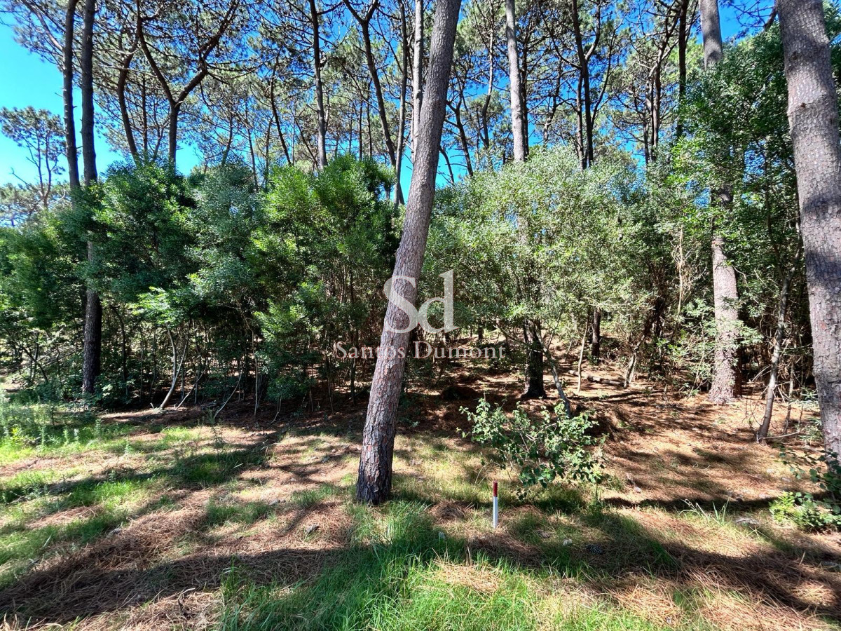 Terreno ID.25272 - VENTA - RESERVA MONTOYA