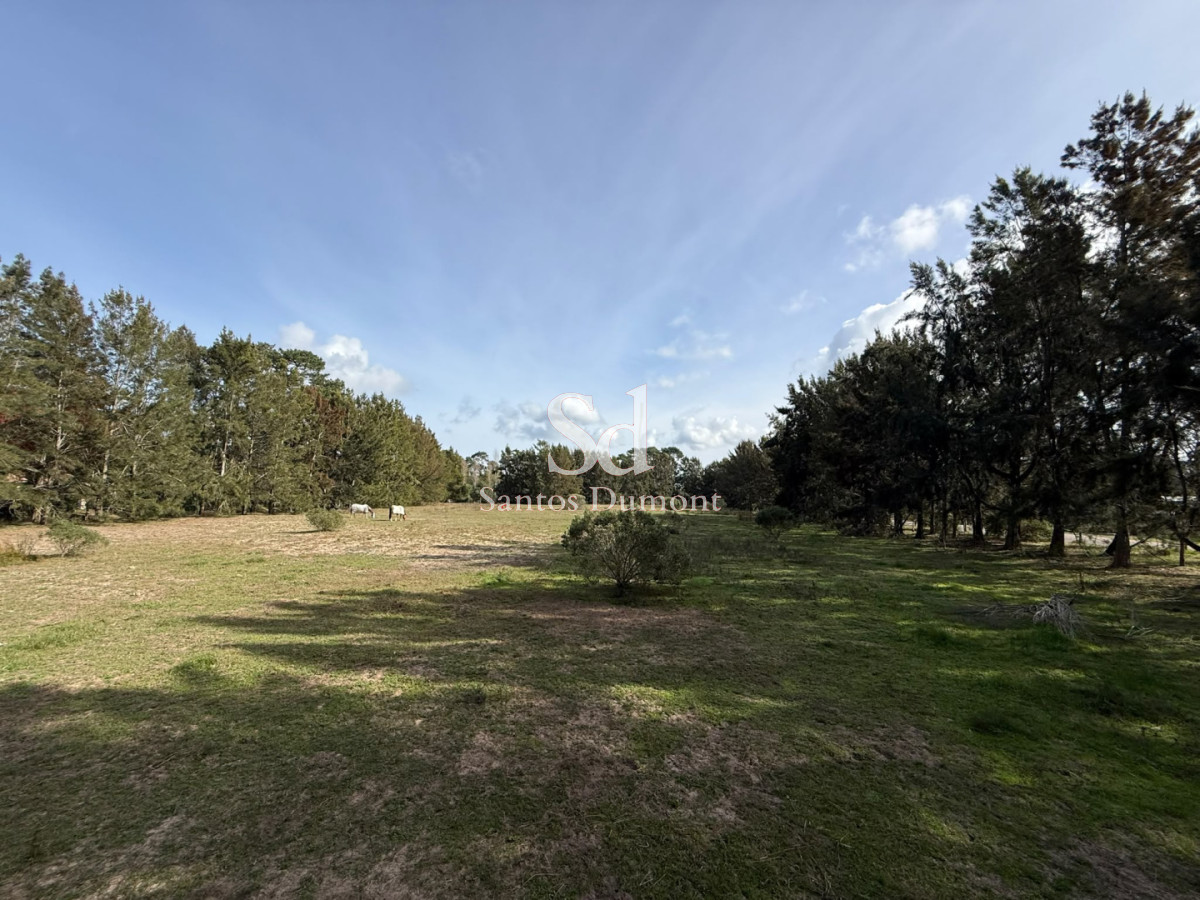Terreno ID.25783 - Lotes en Marly Punta del Este