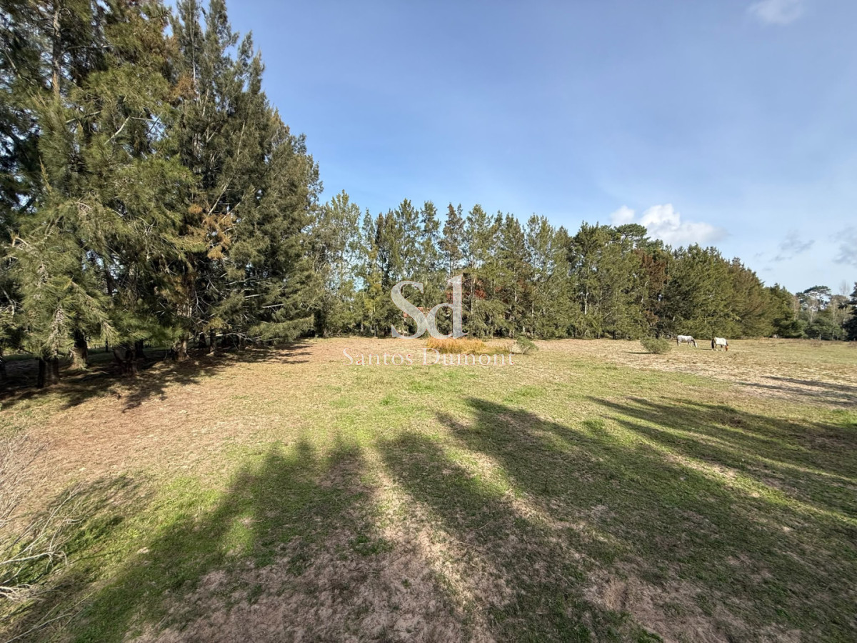 Terreno ID.25783 - Lotes en Marly Punta del Este