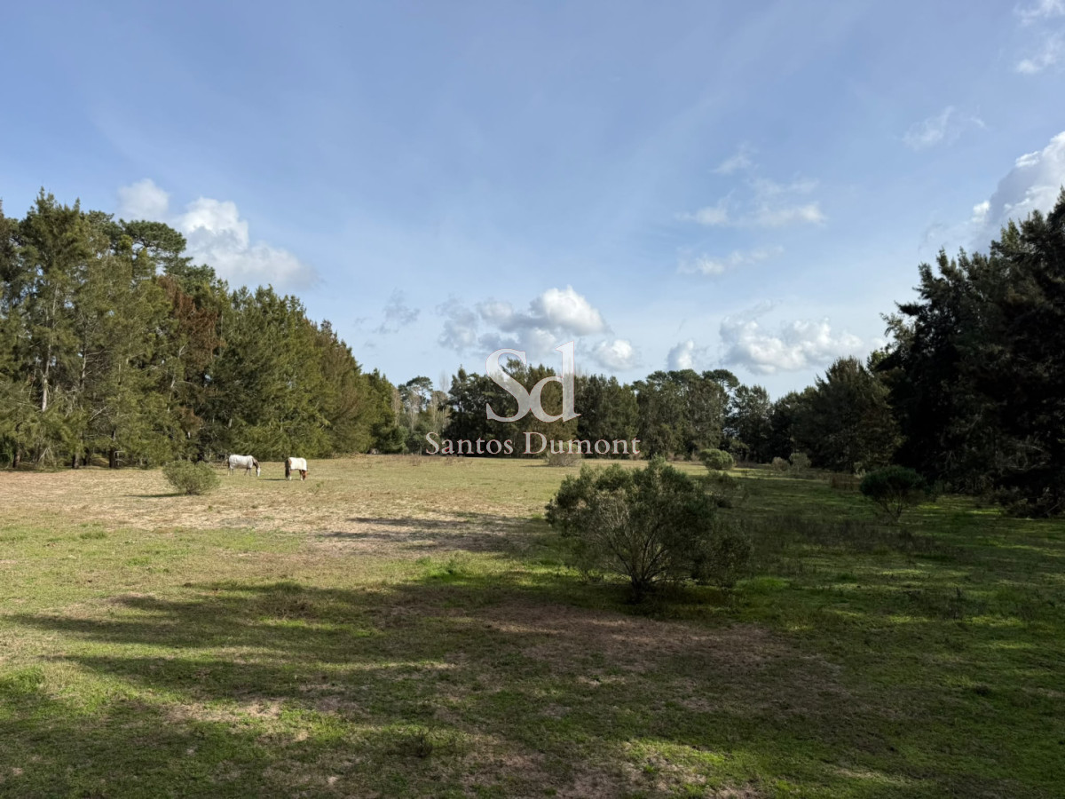 Terreno ID.25783 - Lotes en Marly Punta del Este