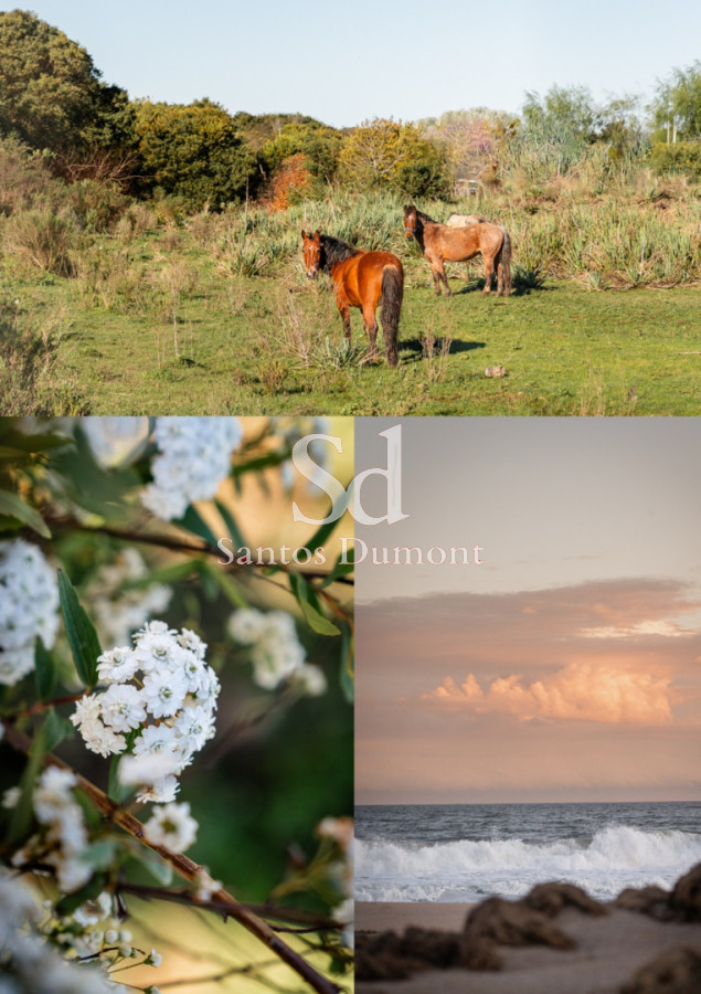 Terreno ID.25703 - WABI - EL CHORRO, MANANTIALES