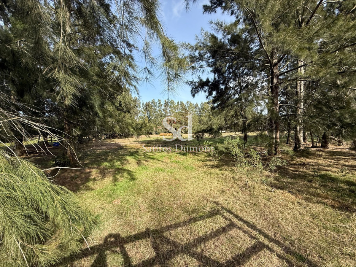 Terreno ID.25783 - Lotes en Marly Punta del Este