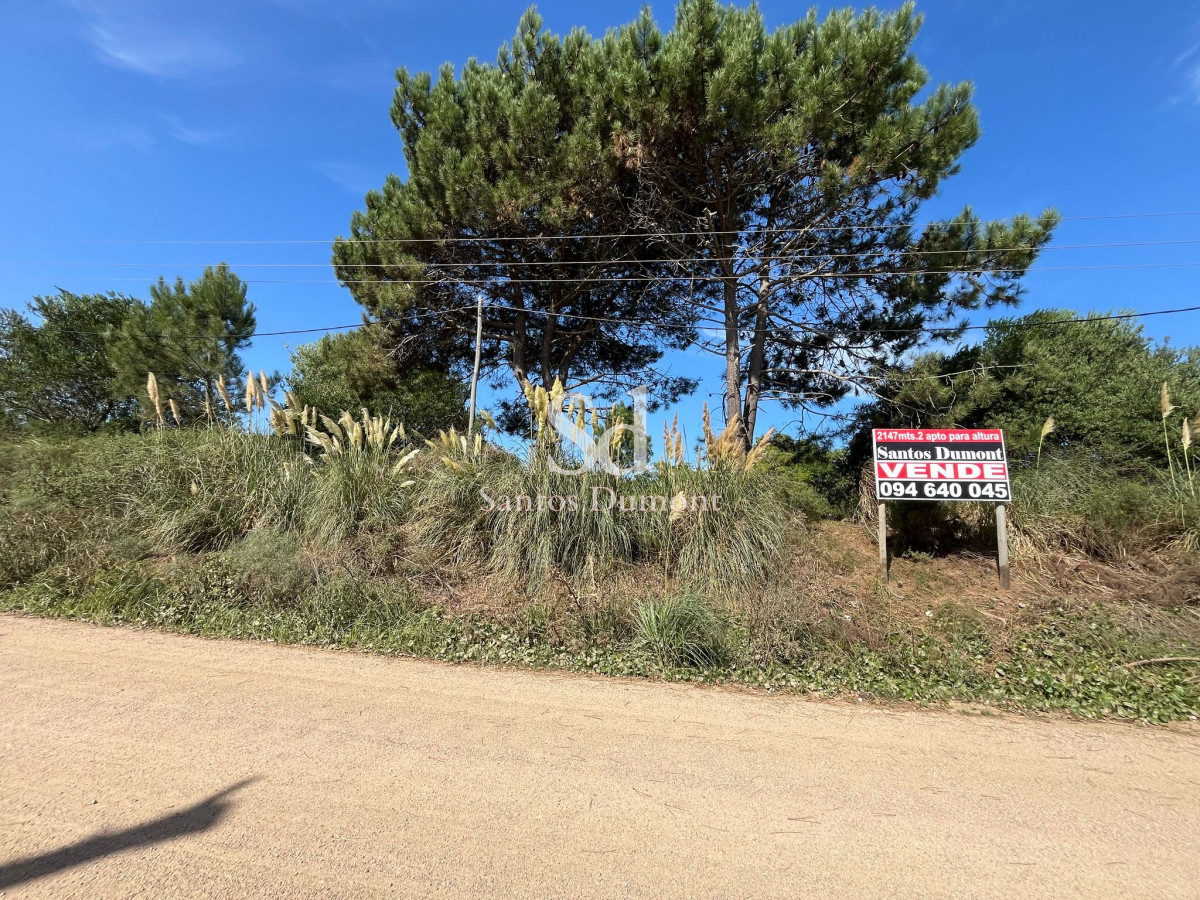 Terreno ID.25209 - Terreno en La Barra, Montoya