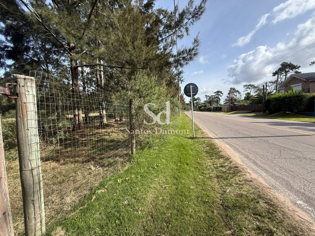 Terreno ID.25783 - Lotes en Marly Punta del Este