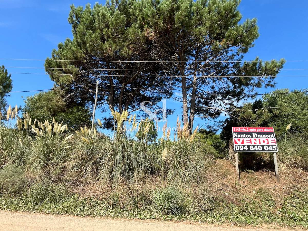 Terreno ID.25209 - Terreno en La Barra, Montoya
