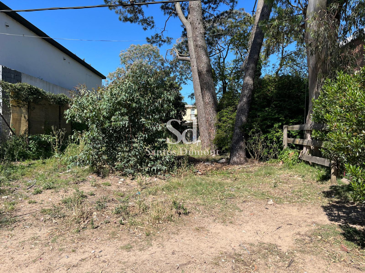 Terreno ID.12564 - LOTE EN ALQUILER