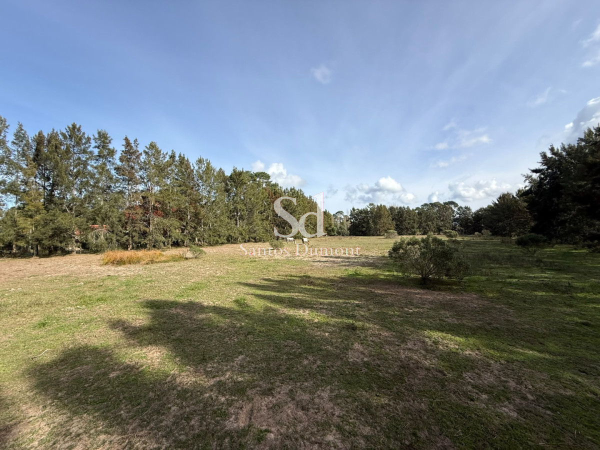 Terreno ID.25783 - Lotes en Marly Punta del Este