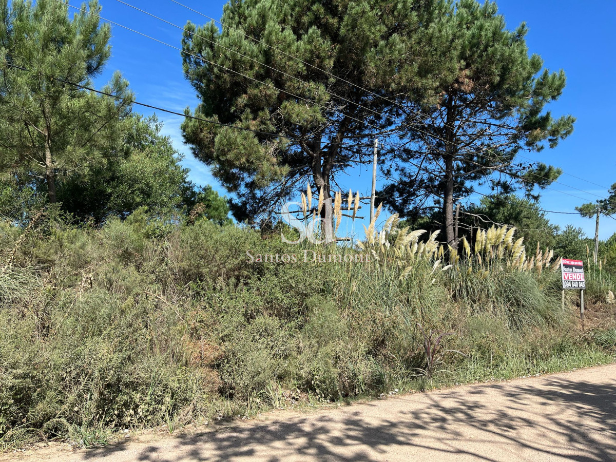 Terreno ID.25209 - Terreno en La Barra, Montoya