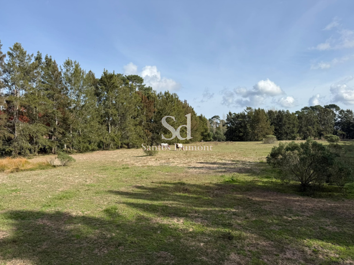 Terreno ID.25783 - Lotes en Marly Punta del Este