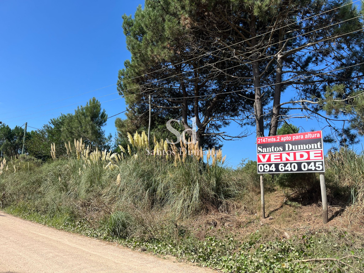 Terreno ID.25209 - Terreno en La Barra, Montoya