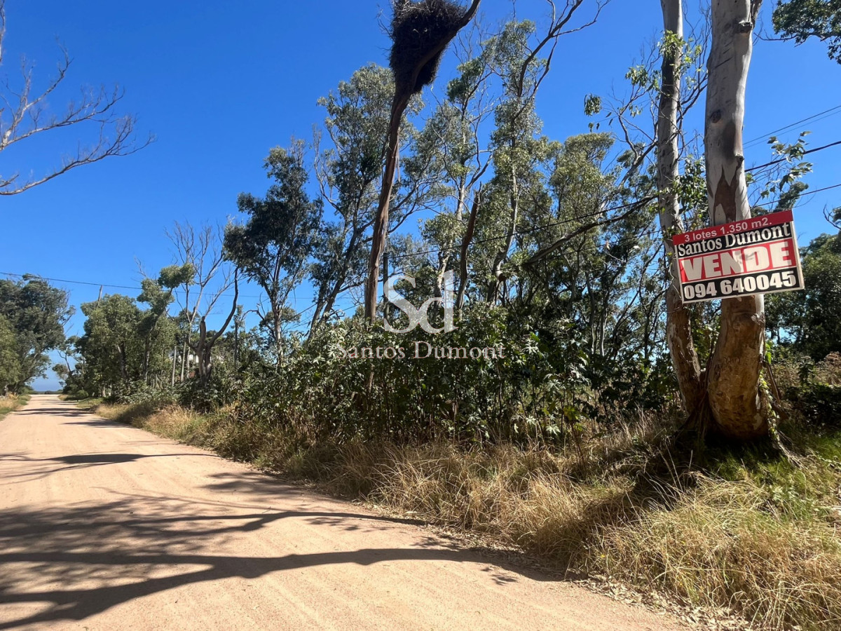 3 Lotes en Venta - Balneario Buenos Aires. Calle 20

Cada uno de 450 mts2.
15mts2 de frente x 30 mts2 de fondo.

Padrón 3551
Padrón 3552
Padrón 3553

Por mas información, consulte con nuestros asesores.