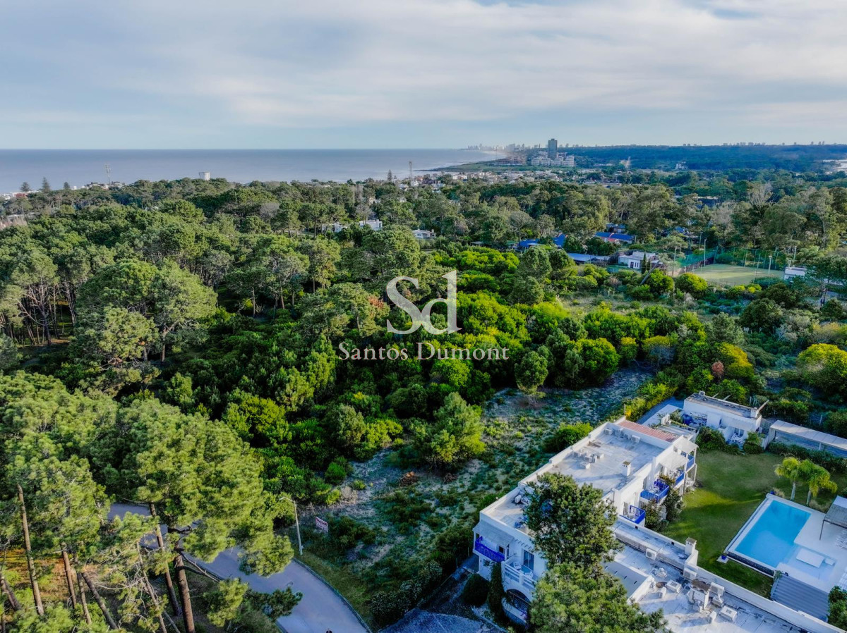 TERRENO EN MONTOYA PEGADO AL HOTEL KALA 
2.288 mts2 CON VISTA, ALTO, FRENTE A LA PLAZA 
39 mts de frente x 60mts uno de los laterales y el otro lateral 63mts aprox. 

PADRON 16645 MANZANA 373

Altura máxima: 9mts
Ocupación máx.:
FOS 20% (457,6 mts2)
FOS.S. 40% (915,2 mts2)
FOS.V 60% (1.372,8 mts2)
FOT 60 % (1.372,8 mts2)

Consulte con nuestros asesores.