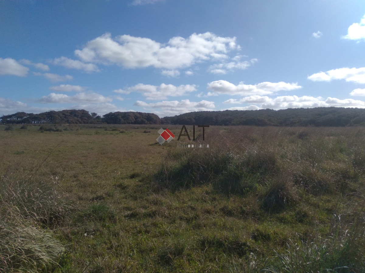 Campo Ref.17235 - ESPECTACULAR CAMPO CON 1650 MTS DE PLAYA