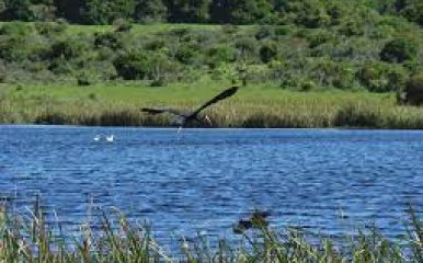 TERRENO SOBRE LAGUNA GARZON