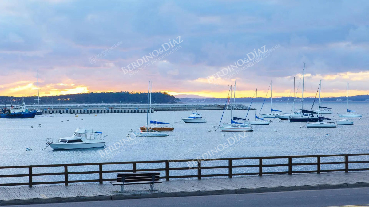 Apartamento ID.384 -  Apartamento formidable Frente a Puerto de  Punta del Este