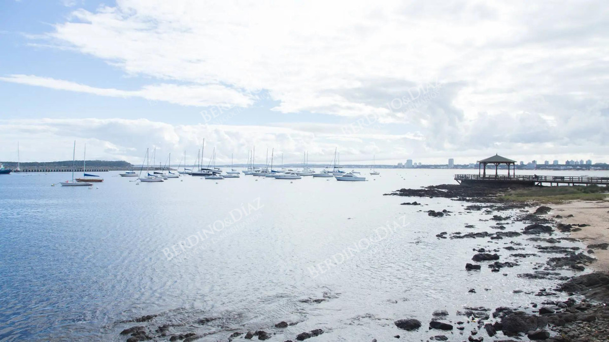 Apartamento ID.384 -  Apartamento formidable Frente a Puerto de  Punta del Este