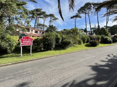 Sobre importante Avenida
