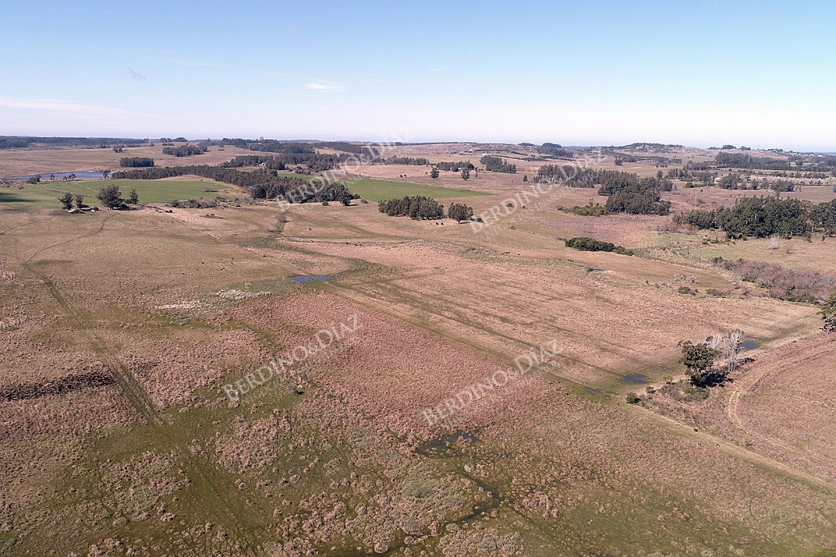 Chacra ID.2362 - Chacra campo en venta Camino Eguzquiza 132 Hectareas
