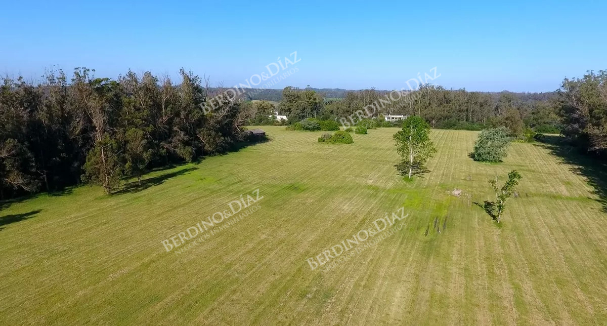 Chacra ID.2312 - Chacra en venta Camino Cerro Eguzquiza 11 hectareas