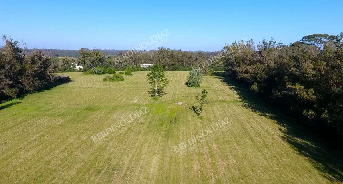 Chacra ID.2312 - Chacra en venta Camino Cerro Eguzquiza 11 hectareas